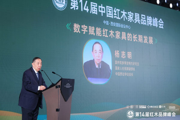 楊志明：加快數(shù)智賦能，推動(dòng)紅木家具的創(chuàng)新（內(nèi)附視頻）